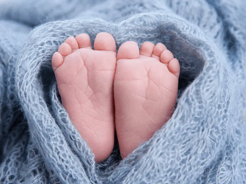close up of newborn baby toes