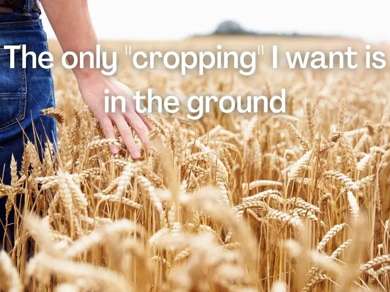 Picture of man in a wheat field with photography joke on top